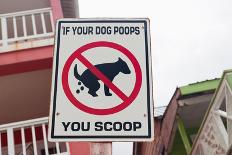 Dog Poop Sign-TamiFreed-Framed Stretched Canvas