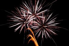 Windblown Fireworks-TamiFreed-Photographic Print