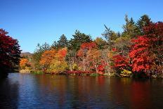 Autumn Colours Pond-tamikosan-Photographic Print