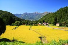 Autumn Colours of Valley-tamikosan-Photographic Print