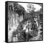 Tamil Women Picking Tea on Sir Thomas Lipton's Estate, Polgahawela, Sri Lanka, 1903-Underwood & Underwood-Framed Stretched Canvas