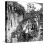 Tamil Women Picking Tea on Sir Thomas Lipton's Estate, Polgahawela, Sri Lanka, 1903-Underwood & Underwood-Stretched Canvas