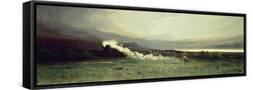 Framed Canvas