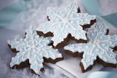 Festive Christmas Place Setting-Tammy Hanratty-Photographic Print