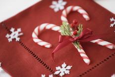 Festive Christmas Place Setting-Tammy Hanratty-Stretched Canvas