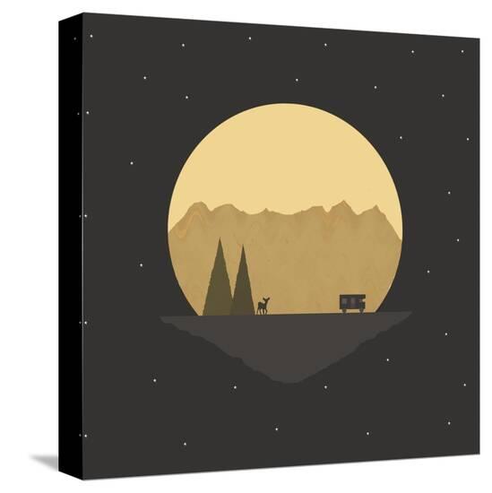 Stretched Canvas Print, , large
