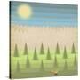 Stretched Canvas