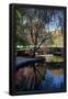 Essential Black