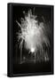 Essential Black