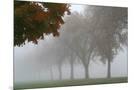 Wood Mount