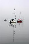 Red Sailboat II-Tammy Putman-Photographic Print