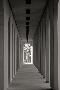 Laminate