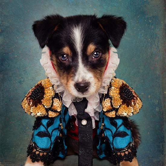Photographic Print, , large