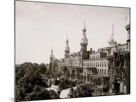 Tampa Bay Hotel, Florida-null-Mounted Photo