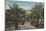 Tampa, FL - View of Ballast Point Park Entrance-Lantern Press-Mounted Art Print