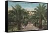 Tampa, FL - View of Ballast Point Park Entrance-Lantern Press-Framed Stretched Canvas