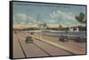 Tampa, FL - View of Bayshore Blvd, Bridge, Davis Is.-Lantern Press-Framed Stretched Canvas