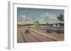 Tampa, FL - View of Bayshore Blvd, Bridge, Davis Is.-Lantern Press-Framed Art Print