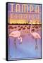 Tampa, Florida - Flamingos-Lantern Press-Framed Stretched Canvas