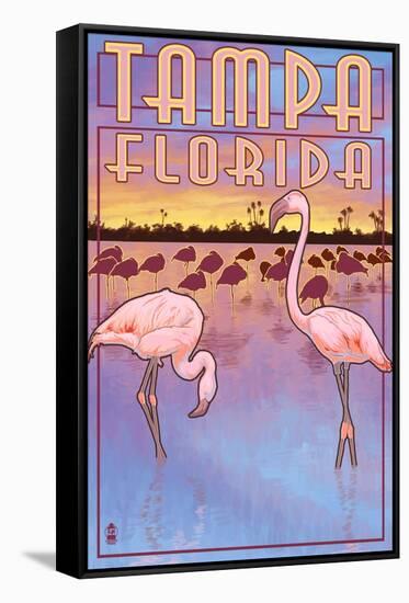 Tampa, Florida - Flamingos-Lantern Press-Framed Stretched Canvas