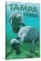 Tampa, Florida - Manatees-Lantern Press-Stretched Canvas