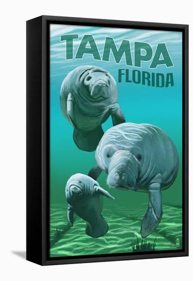 Tampa, Florida - Manatees-Lantern Press-Framed Stretched Canvas