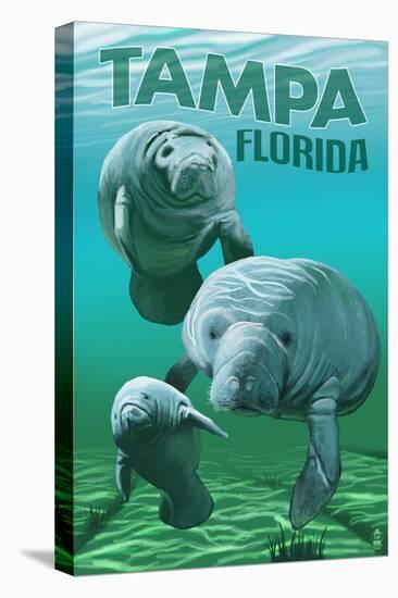 Tampa, Florida - Manatees-Lantern Press-Stretched Canvas