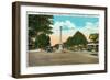 Tampa, Florida - Memorial Hwy, Road of Remembrance Scene-Lantern Press-Framed Art Print