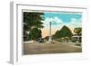 Tampa, Florida - Memorial Hwy, Road of Remembrance Scene-Lantern Press-Framed Art Print