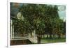 Tampa, Florida - Orange Trees in Front of House-Lantern Press-Framed Art Print