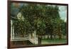 Tampa, Florida - Orange Trees in Front of House-Lantern Press-Framed Art Print