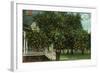 Tampa, Florida - Orange Trees in Front of House-Lantern Press-Framed Art Print