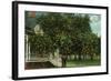 Tampa, Florida - Orange Trees in Front of House-Lantern Press-Framed Art Print