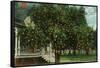 Tampa, Florida - Orange Trees in Front of House-Lantern Press-Framed Stretched Canvas