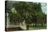 Tampa, Florida - Orange Trees in Front of House-Lantern Press-Stretched Canvas