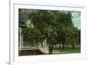 Tampa, Florida - Orange Trees in Front of House-Lantern Press-Framed Art Print