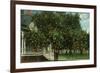 Tampa, Florida - Orange Trees in Front of House-Lantern Press-Framed Art Print