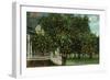 Tampa, Florida - Orange Trees in Front of House-Lantern Press-Framed Art Print