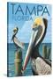 Tampa, Florida - Pelicans-Lantern Press-Stretched Canvas