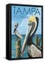 Tampa, Florida - Pelicans-Lantern Press-Framed Stretched Canvas