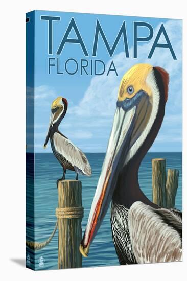 Tampa, Florida - Pelicans-Lantern Press-Stretched Canvas