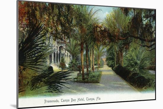 Tampa, Florida - Tampa Bay Hotel Exterior View from Promenade-Lantern Press-Mounted Art Print