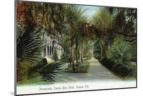 Tampa, Florida - Tampa Bay Hotel Exterior View from Promenade-Lantern Press-Mounted Art Print