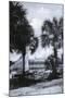 Tampa, Florida - Tampa Bay Hotel in Distance Photo-Lantern Press-Mounted Art Print