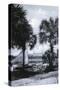 Tampa, Florida - Tampa Bay Hotel in Distance Photo-Lantern Press-Stretched Canvas