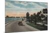 Tampa, Florida - View of Bayshore Blvd-Lantern Press-Mounted Art Print