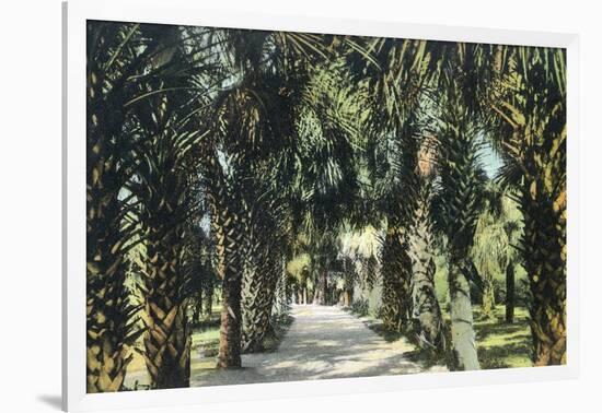 Tampa, Florida - View of Palmetto Walk-Lantern Press-Framed Art Print