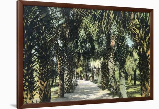 Tampa, Florida - View of Palmetto Walk-Lantern Press-Framed Art Print