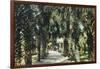 Tampa, Florida - View of Palmetto Walk-Lantern Press-Framed Art Print