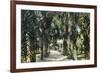 Tampa, Florida - View of Palmetto Walk-Lantern Press-Framed Premium Giclee Print
